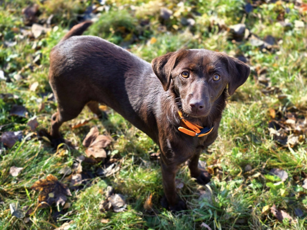 577124839_2888921957964472_5678989348026844166_n